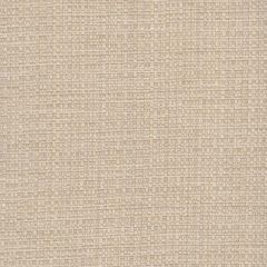 Perennials Raffia Vellum 210-170 Clodagh Collection Upholstery Fabric