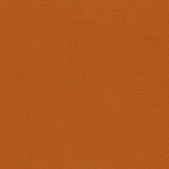 Robert Allen Sunbrella Mod Reeves Tangerine 228320 DwellStudio Modern Bungalow Collection Upholstery Fabric