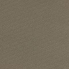 Serge Ferrari Stamoid Light Taupe F4128-20165 102-Inch Tarp / Tent Fabric