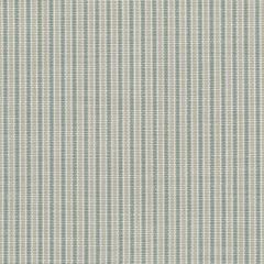 Perennials Tick Tock Stripe Sea Foam 807-123 The Usual Suspects Collection Upholstery Fabric