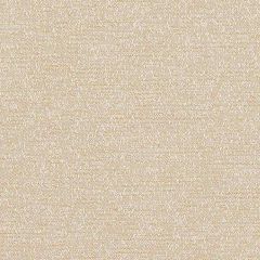 Sunbrella Palazzo Straw PAL J230 140 European Collection Upholstery Fabric