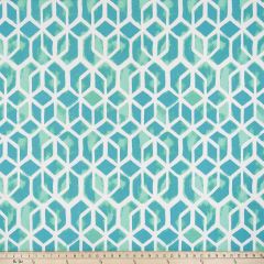 Premier Prints Celtic Surfside / Polyester Boardwalk Outdoor Collection Upholstery Fabric