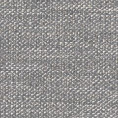 Perennials Whippersnapper Platinum 925-207 Rodeo Drive Collection Upholstery Fabric