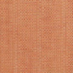 Perennials Raffia Tuscan 210-230 Clodagh Collection Upholstery Fabric