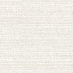 Perennials Crepe Du Jour Sea Salt 973-124 Camp Wannagetaway Collection Upholstery Fabric