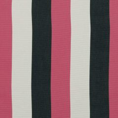 Robert Allen Sunbrella Lazy Cabana Jet Essentials Collection Upholstery Fabric