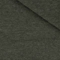 Robert Allen Sunbrella Cabana Terry Chalkboard Essentials Collection Upholstery Fabric