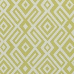 Patio Lane Prism Acid Green 28104 Beachside Collection Multipurpose Fabric