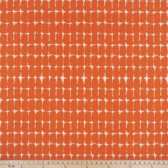 Premier Prints Neptune Marmalade / Polyester Boardwalk Outdoor Collection Upholstery Fabric