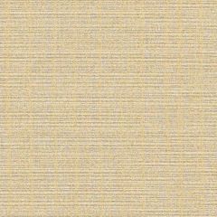 Sunbrella by CF Stinson Contract Catalina Pier 63502 Upholstery Fabric