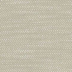 Perennials Nit Witty White Sands 930-270 Camp Wannagetaway Collection Upholstery Fabric