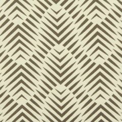 Robert Allen Sunbrella Palmwood Birch 228288 DwellStudio Modern Bungalow Collection Upholstery Fabric