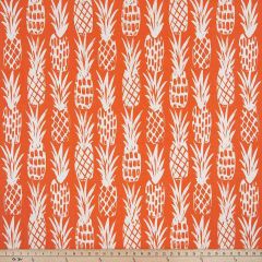 Premier Prints Pineapple Marmalade / Luxe Polyester Boardwalk Outdoor Collection Upholstery Fabric