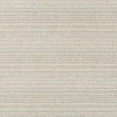 Kravet Couture Halau Dune 35566-1615 Vista Collection Upholstery Fabric