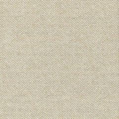 Robert Allen Sunbrella 32201LD Driftwood 2 Upholstery Fabric