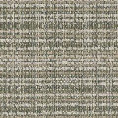 Perennials Homespun Dirty Martini 926-364 No Hard Feelings Collection Upholstery Fabric