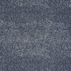 Silver State Sunbrella Jedi Night Roman Holidays Collection Upholstery Fabric