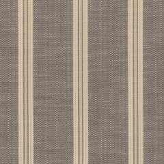 Perennials Paddington Stripe Pumice 205-208 Rose Tarlow Melrose House Collection Upholstery Fabric