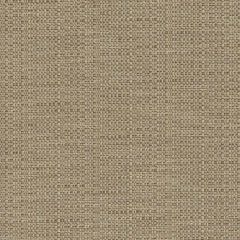 Perennials Raffia Fawn 210-245 Clodagh Collection Upholstery Fabric