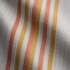 Perennials Roadrunner Stripe Melon 470-231 Far West Liz Lambert Collection Upholstery Fabric