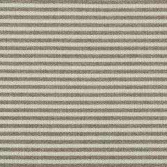 Lee Jofa Modern Rayas Stripe Soot GWF-3745-168 Terra Firma II Indoor Outdoor Collection by Kelly Wearstler Upholstery Fabric