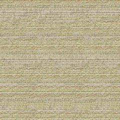 Kravet Sunbrella Helm Dune 34869-1611 Oceania Indoor Outdoor Collection Upholstery Fabric