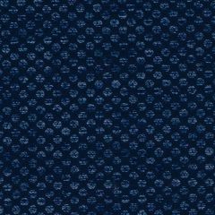 Duralee Denim DU16448-146 Pavilion Inside Out Upholstery Fabric