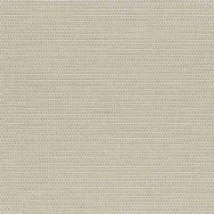 Sunbrella by Mayer Reflector Limestone 433-007 Vollis Simpson Collection Upholstery Fabric