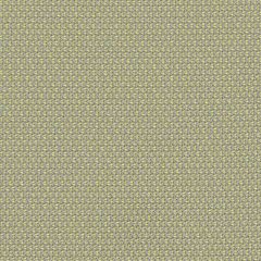 Sunbrella Lopi Pistache LOP R022 140 European Collection Upholstery Fabric