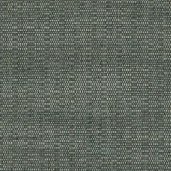 Perennials Slubby Flint 655-215 No Hard Feelings Collection Upholstery Fabric