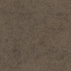 Sunbrella Cocoa 78002-0000 The Terry Collection Upholstery Fabric