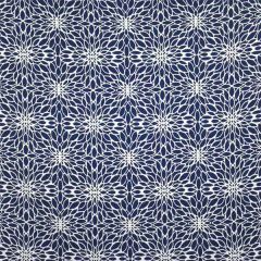 Silver State Sunbrella Penelope Indigo Roman Holidays Collection Upholstery Fabric