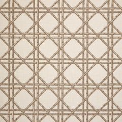 Sunbrella Reign Rattan 145218-0008 Fusion Collection - Reversible Upholstery Fabric (Light Side)