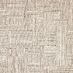 Sunbrella Boro Walnut 146030-0001 Fusion Collection Upholstery Fabric