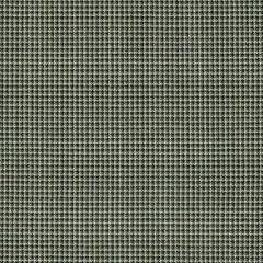 Sunbrella Lore Moss 48146-0003 Upholstery Fabric