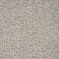 Sunbrella Dumont Mushroom 305825-0003 Luxury Plains Collection Upholstery Fabric