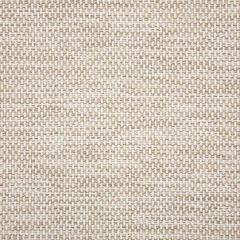 Sunbrella Mainstreet Putty 42048-0012 Elements Collection Upholstery Fabric