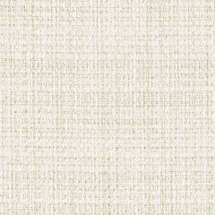 Perennials Homespun Sea Salt 926-124 No Hard Feelings Collection Upholstery Fabric