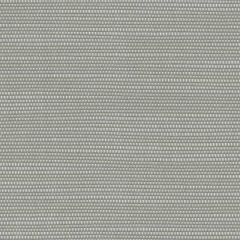 Perennials Slubby Nickel 655-296 No Hard Feelings Collection Upholstery Fabric