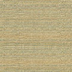 Kravet Sunbrella Melanger Vapor 31695-1615 The Echo Design Collection Upholstery Fabric