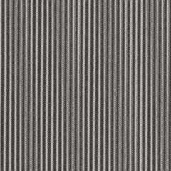 Perennials Ticking Stripe Noir 805-16 Camp Wannagetaway Collection Upholstery Fabric