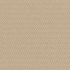 Perennials Nit Witty Sahara 930-229 Camp Wannagetaway Collection Upholstery Fabric