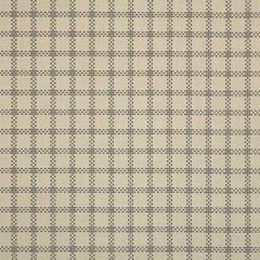 Sunbrella Lemond Stone 145172-0001 Upholstery Fabric