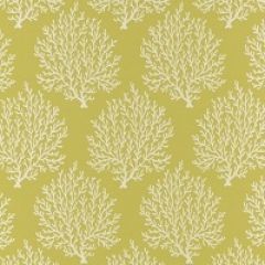 Patio Lane Barrier Acid Green 28105 Beachside Collection Multipurpose Fabric