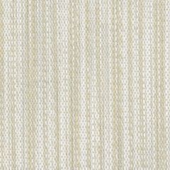 Perennials Stree-Yay! Bone 942-202 Kidding Around Collection Upholstery Fabric