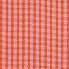 Perennials Jake Stripe Tutti Frutti 800-233 Paradise Found Collection by John Hutton Upholstery Fabric