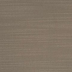 Perennials Slubby Dove 655-102 No Hard Feelings Collection Upholstery Fabric