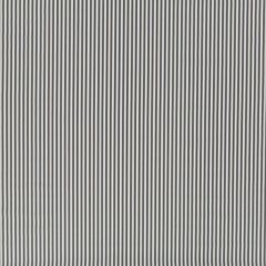 Duralee Grey DW16301-15 Pavilion Indoor/Outdoor Portico Stripes and Solids Collection Upholstery Fabric