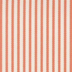 Perennials Jake Stripe Mandarin 800-167 Paradise Found Collection by John Hutton Upholstery Fabric