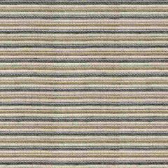 Kravet Sunbrella Beige / Grey / Black 34222-1621 Upholstery Fabric